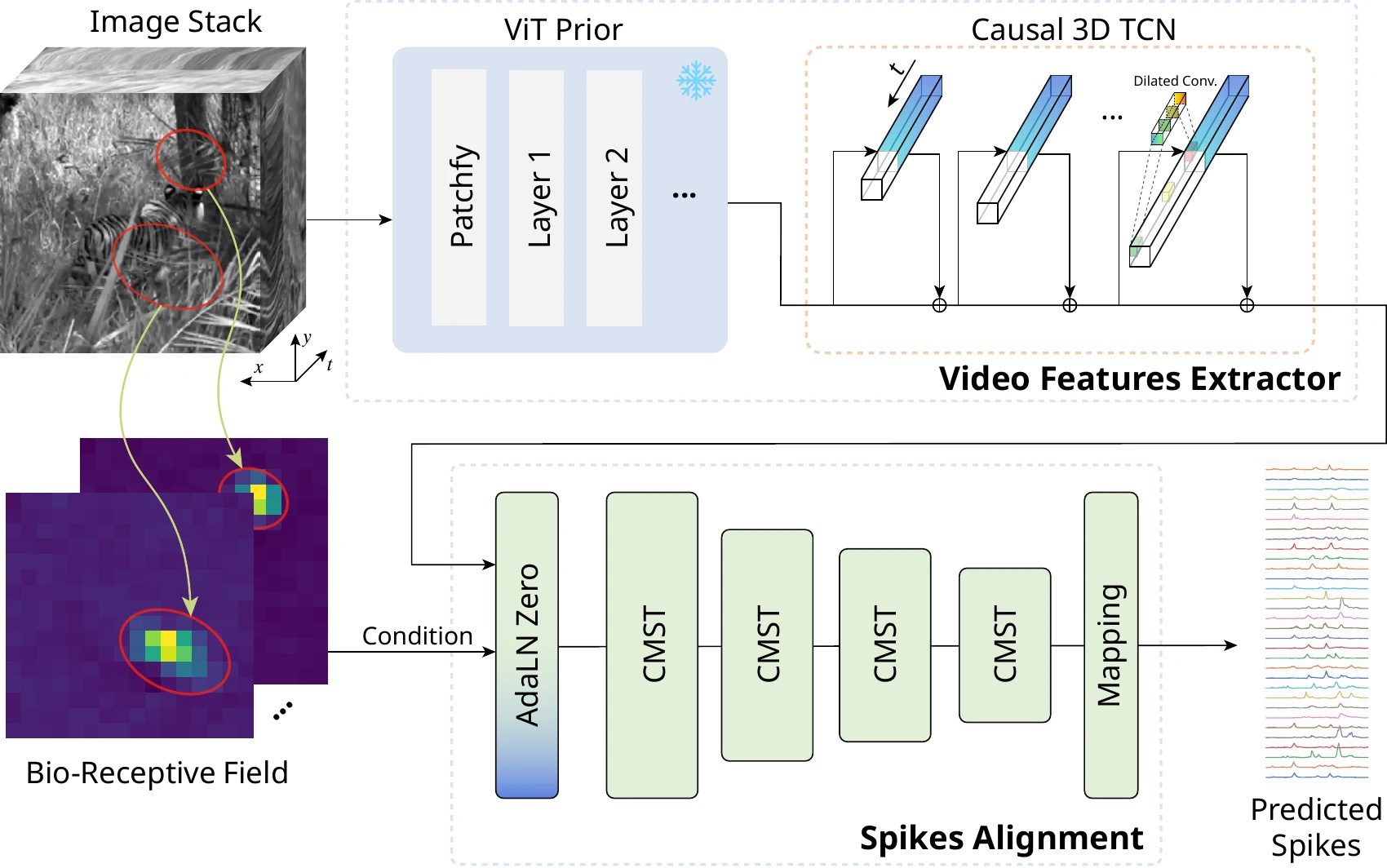 Vi-ST architecture from Figure 1: a frozen vision transformer and causal 3D temporal network extract video features, which are conditioned on receptive fields and passed through multi-scale blocks to predict neuronal responses.